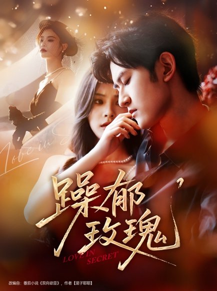 躁郁玫瑰 （71集）朱彦恺＆杨静怡 高清完整版