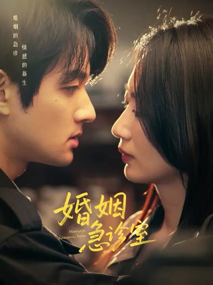 婚姻急诊室（20集）赵子麒&林子煊 高清完整版
