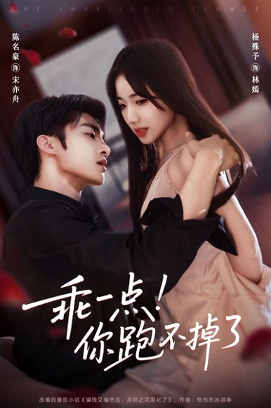 乖一点！你跑不掉了（80集）陈名豪＆杨殊予 高清完整版