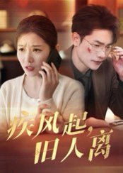 疾风起旧人离（32集）薛海威&刘灿 高清完整版