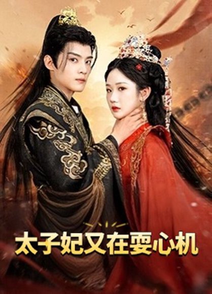 太子妃又在耍心机&人家才不是坏女人（80集）张晋宜&谢鸿鑫 高清完整版