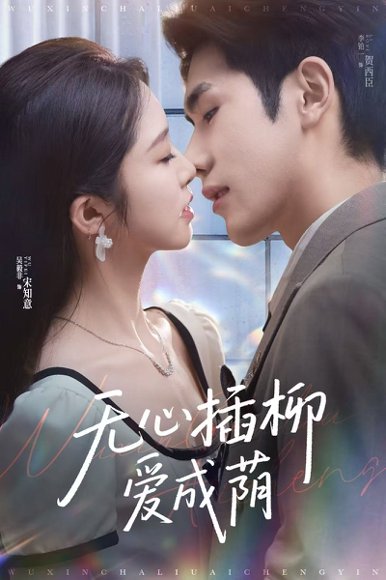 无心插柳爱成荫（80集）李铂一＆吴毅非 高清完整版