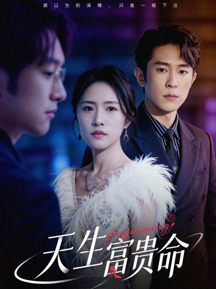 天生富贵命（48集）胥宁轲＆崔莹 高清完整版